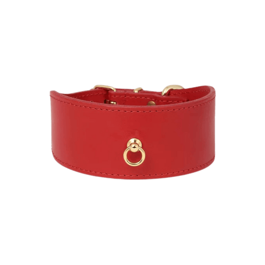 Front-facing product image of the red Branni Pets greyhound collar with gold ring – wide and soft for dogs with delicate necks. Produktfoto des roten Branni Pets Windhunde-Halsbands mit Goldring – breit und weich für empfindliche Hundehälse. Image produit du collier rouge Branni Pets pour lévriers avec anneau doré – large et doux pour les cous sensibles.