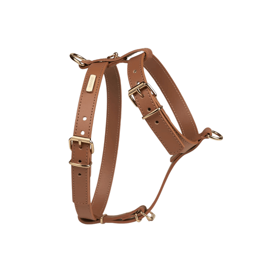 Elegant brown leather dog harness by Branni Pets with adjustable straps and gold-tone hardware, designed for small to medium-sized dogs. — Elegantes Hundegeschirr aus braunem Leder von Branni Pets mit verstellbaren Riemen und goldener Beschlägung, ideal für kleine bis mittelgroße Hunde. — Harnais pour chien en cuir marron élégant de Branni Pets avec sangles réglables et bouclerie dorée, conçu pour les chiens de petite à moyenne taille.