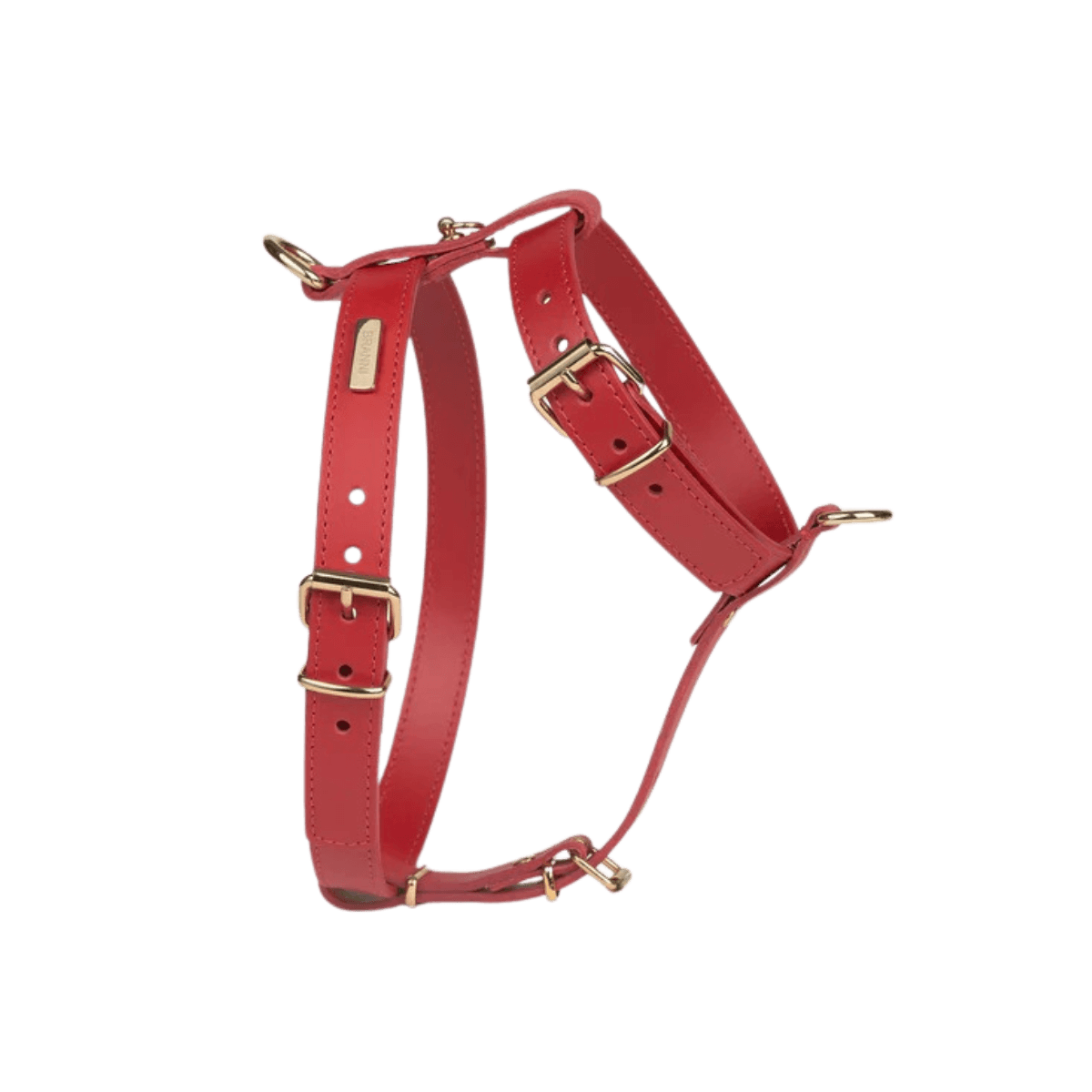 Elegant red leather dog harness from Branni Pets with gold-tone buckles – adjustable, chic, and perfect for small to medium-sized dogs. Elegantes rotes Hundegeschirr aus Leder von Branni Pets mit goldfarbenen Schnallen – verstellbar, schick und ideal für kleine bis mittelgroße Hunde. Harnais rouge élégant en cuir de Branni Pets avec boucles dorées – réglable, chic et parfait pour les chiens de petite à moyenne taille.