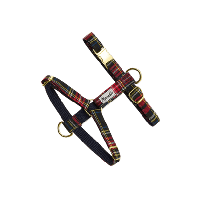 French Bandit dog harness in red and blue tartan with gold hardware – classic British-inspired look for fashionable dogs. Hundegeschirr von French Bandit im rot-blauen Tartan-Muster mit goldenen Details – klassischer britischer Look für stilbewusste Hunde. Harnais pour chien French Bandit à motif tartan rouge et bleu avec bouclerie dorée – un style britannique classique pour chiens élégants.
