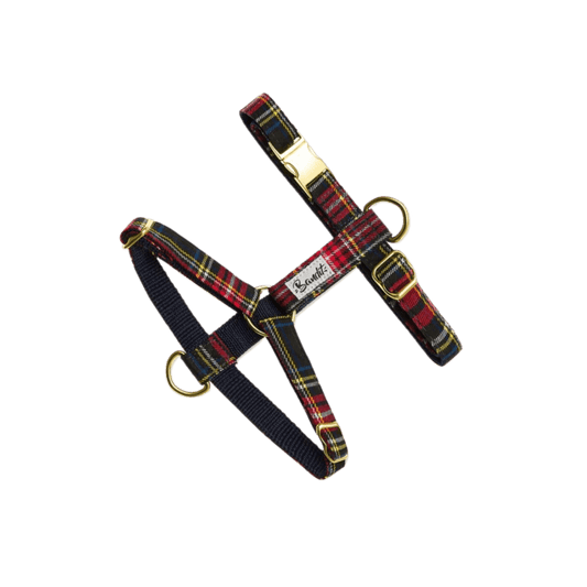 French Bandit dog harness in red and blue tartan with gold hardware – classic British-inspired look for fashionable dogs. Hundegeschirr von French Bandit im rot-blauen Tartan-Muster mit goldenen Details – klassischer britischer Look für stilbewusste Hunde. Harnais pour chien French Bandit à motif tartan rouge et bleu avec bouclerie dorée – un style britannique classique pour chiens élégants.