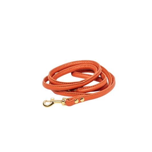 Cognac vegan leather dog leash with gold hardware by Collar of Sweden – Laisse pour chien en cuir végan couleur cognac avec quincaillerie dorée, signée Collar of Sweden – Hundeleine aus veganem Leder in Cognac mit goldener Beschläge von Collar of Sweden.