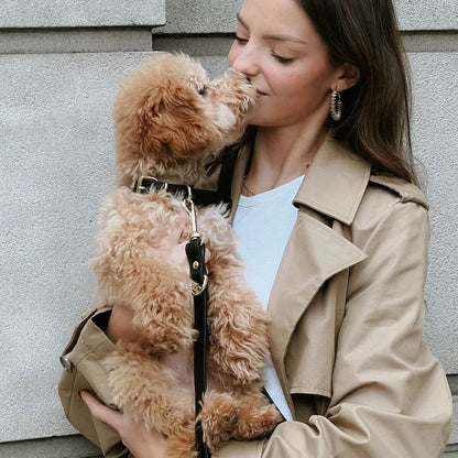 Woman cuddling her dog, both using the matching black leash and collar from Branni Pets for a coordinated, elegant style. Frau kuschelt mit ihrem Hund – beide tragen die passende schwarze Leine und das Halsband von Branni Pets für einen eleganten, abgestimmten Look. Femme câlinant son chien, tous deux portant la laisse et le collier noirs assortis de Branni Pets pour un style élégant et coordonné.