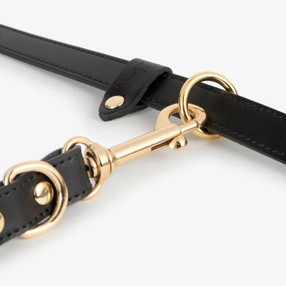 Detail shot of the clasp and ring on the black Branni Pets dog leash, featuring durable gold hardware and smooth leather finish. Detailaufnahme des Karabiners und Rings der schwarzen Branni Pets Hundeleine mit robuster goldener Hardware und glattem Leder. Photo de détail du mousqueton et de l’anneau de la laisse noire Branni Pets, avec finitions dorées et cuir souple.