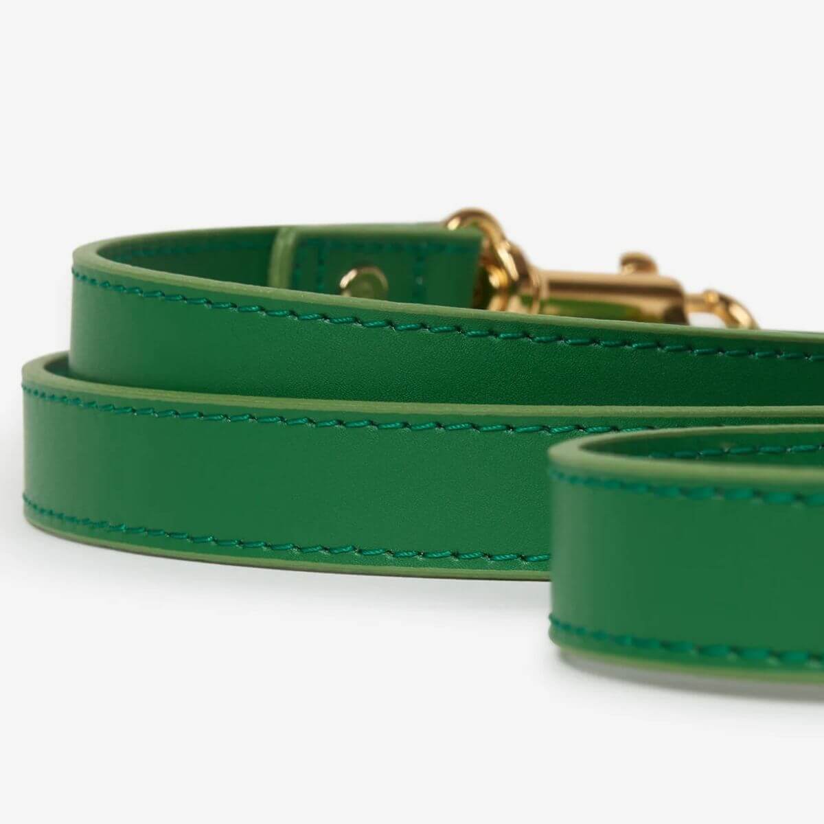Macro detail of the stitching and finish of the green Branni Pets leash, crafted from smooth vegan leather. – Makroaufnahme der Nähte und Verarbeitung der grünen Branni Pets Leine aus glattem veganem Leder. – Détail en gros plan des coutures de la laisse verte Branni Pets, fabriquée en cuir vegan lisse.