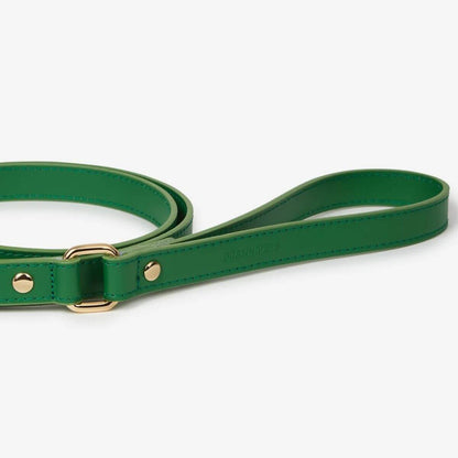 Detail of the handle of the green Branni Pets dog leash showing the embossed logo and polished gold ring. – Detail des Griffs der grünen Branni Pets Hundeleine mit geprägtem Logo und poliertem goldenen Ring. – Détail de la poignée de la laisse verte Branni Pets avec le logo embossé et un anneau doré brillant.