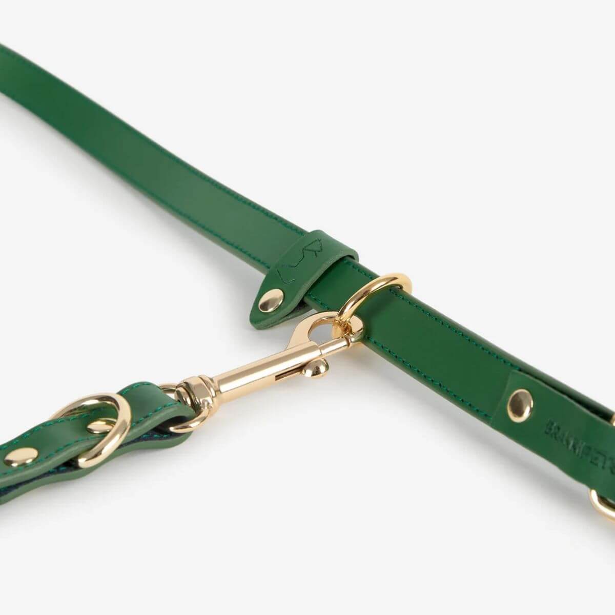 Close-up of the green Branni Pets dog leash with elegant gold hardware and reinforced stitching. – Nahaufnahme der grünen Branni Pets Hundeleine mit goldener Metallbeschläge und verstärkten Nähten. – Gros plan de la laisse verte pour chien de Branni Pets avec des finitions dorées élégantes et des coutures renforcées.