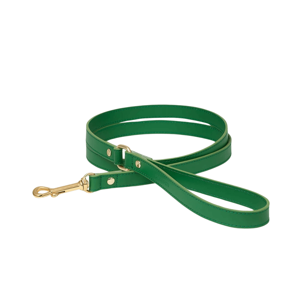 Full view of the green Branni Pets dog leash on white background, featuring gold hardware and loop handle. – Gesamtansicht der grünen Branni Pets Hundeleine auf weißem Hintergrund mit goldener Hardware und Handschlaufe. – Vue complète de la laisse verte Branni Pets sur fond blanc avec finitions dorées et poignée en boucle.