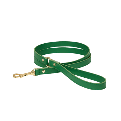 Full view of the green Branni Pets dog leash on white background, featuring gold hardware and loop handle. – Gesamtansicht der grünen Branni Pets Hundeleine auf weißem Hintergrund mit goldener Hardware und Handschlaufe. – Vue complète de la laisse verte Branni Pets sur fond blanc avec finitions dorées et poignée en boucle.
