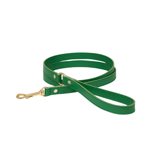 Full view of the green Branni Pets dog leash on white background, featuring gold hardware and loop handle. – Gesamtansicht der grünen Branni Pets Hundeleine auf weißem Hintergrund mit goldener Hardware und Handschlaufe. – Vue complète de la laisse verte Branni Pets sur fond blanc avec finitions dorées et poignée en boucle.