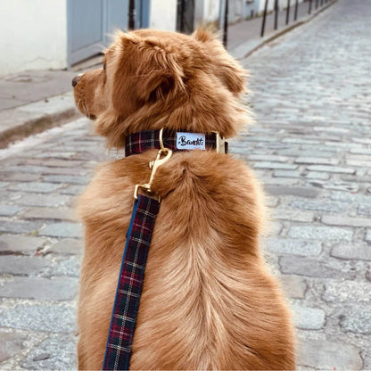Dog wearing a French Bandit red tartan dog collar with matching leash and gold hardware, sitting on a cobblestone street – classic and stylish. Hund mit rotem French Bandit Tartan-Hundehalsband und passender Leine mit goldenen Beschlägen auf Kopfsteinpflaster – klassisch und stilvoll. Chien portant un collier pour chien tartan rouge de French Bandit avec laisse assortie et bouclerie dorée sur rue pavée – élégant et intemporel.
