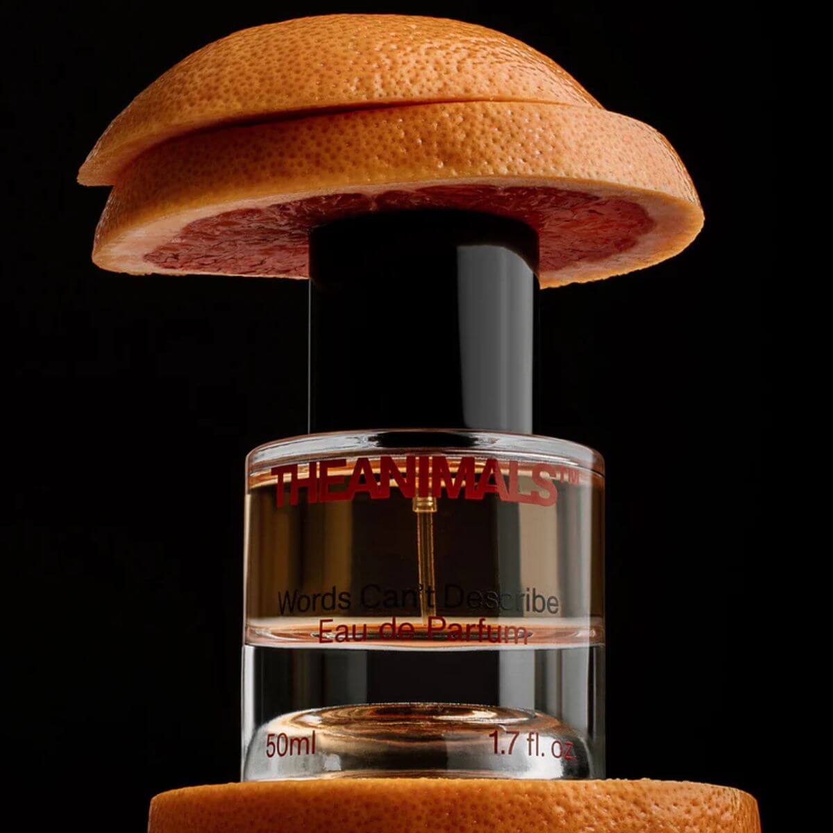 The Animals perfume "Words Can't Describe" styled with grapefruit. Fresh scent with bergamot and saffron. The Animals Parfum „Words Can't Describe“ mit Grapefruit. Frischer Duft mit Bergamotte und Safran. Parfum "Words Can't Describe" de The Animals avec pamplemousse. Notes fraîches de bergamote et safran.