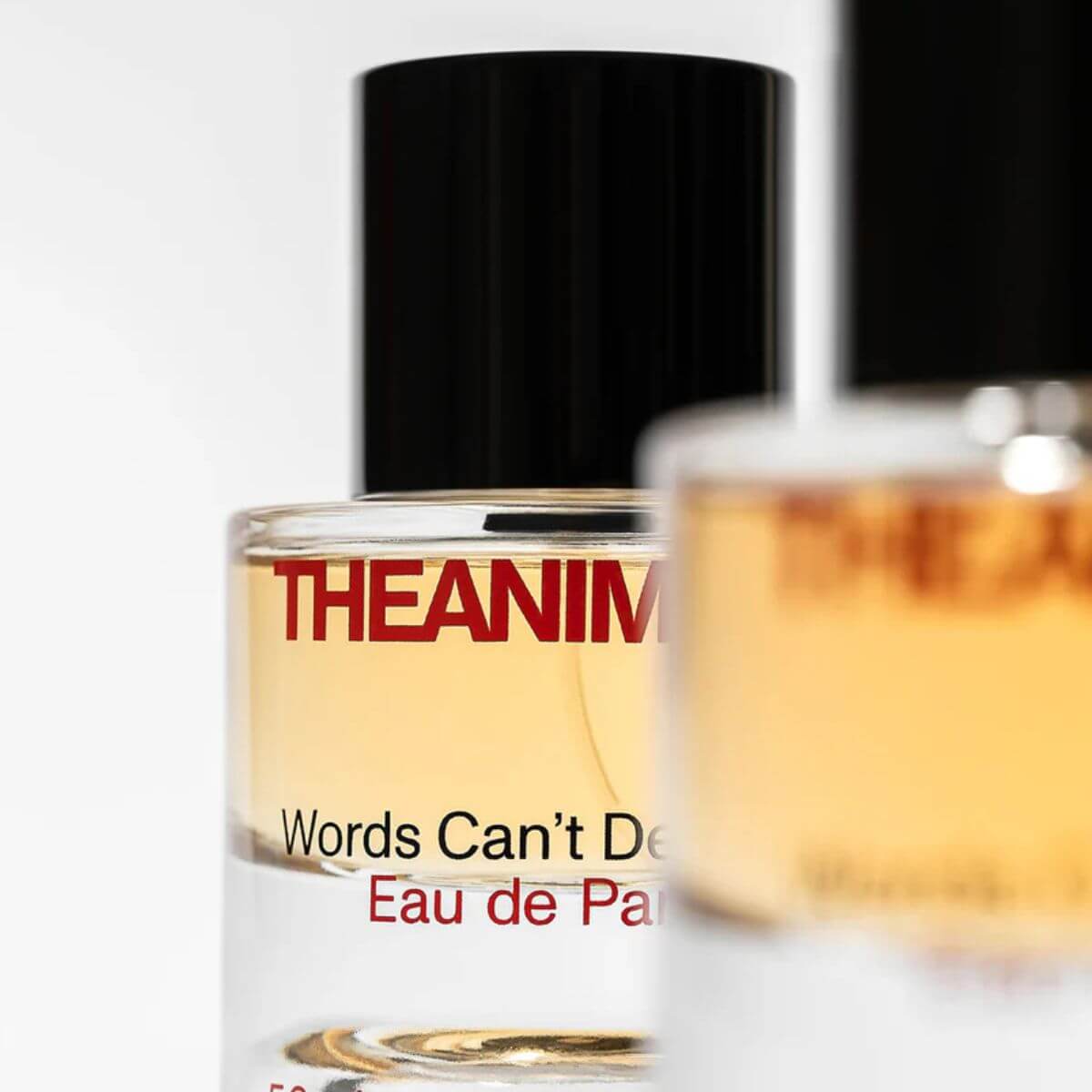 Close-up of "Words Can't Describe" by The Animals. Amber-toned perfume with musks and cedarwood base. Nahaufnahme des Parfums „Words Can't Describe“ von The Animals. Amberfarbener Duft mit Moschus und Zedernholz. Gros plan sur "Words Can't Describe" de The Animals. Teinte ambrée, muscs blancs et bois de cèdre.